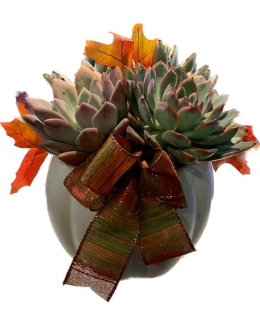 Pumpkin and Succulents Flower Arrangement