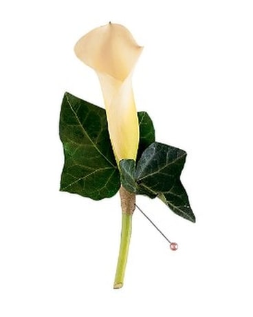 Miniature Calla Boutonniere Boutonniere