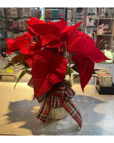 Poinsettia Flower Arrangement