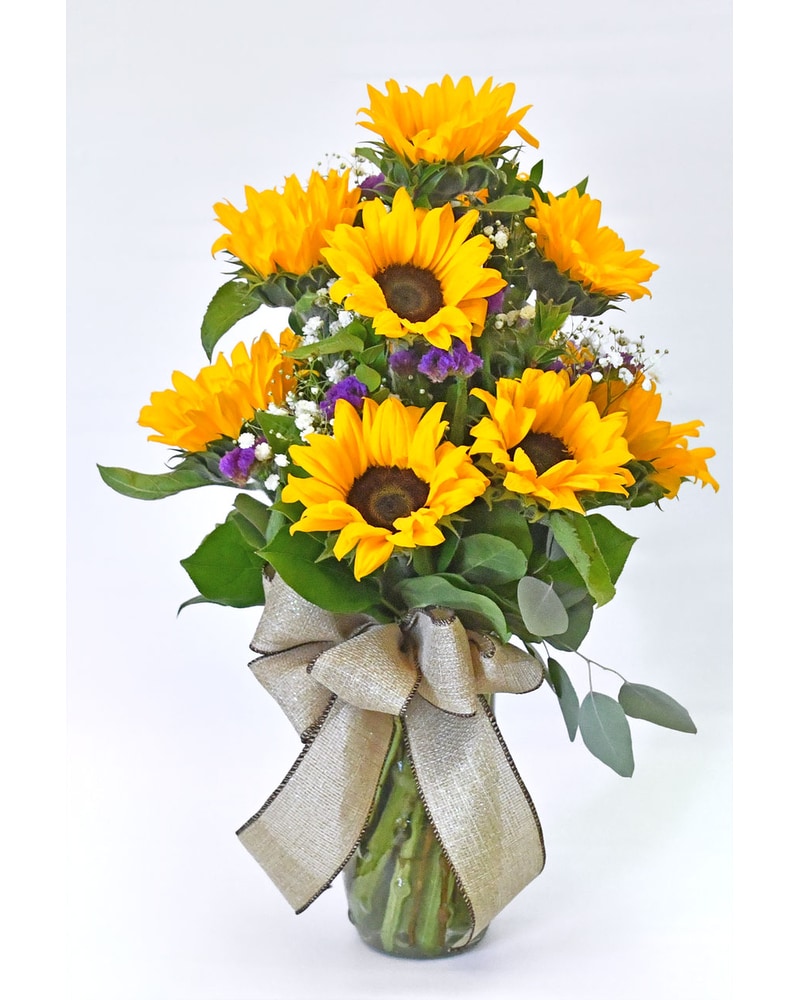 Get Well Flowers Delivery Torrance CA - Villa Hermosa Plant Shop