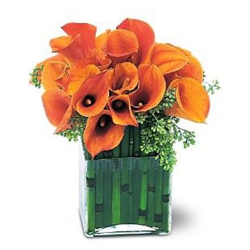 orange gerbera and protea centerpiece