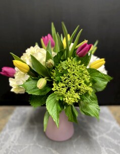March Flowers