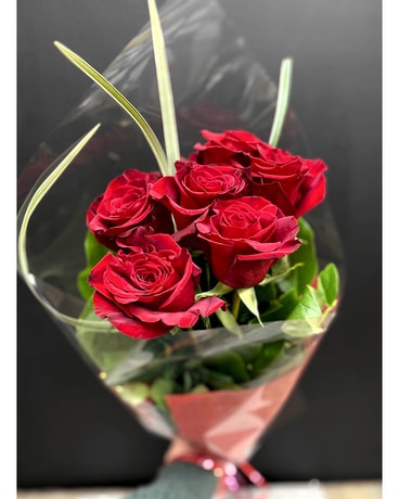 Half Dozen Red Roses (6) wrapped beautifully Flower Arrangement