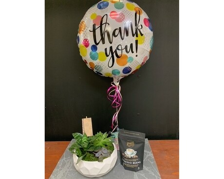 Succulent Planter Gift Set Gifts