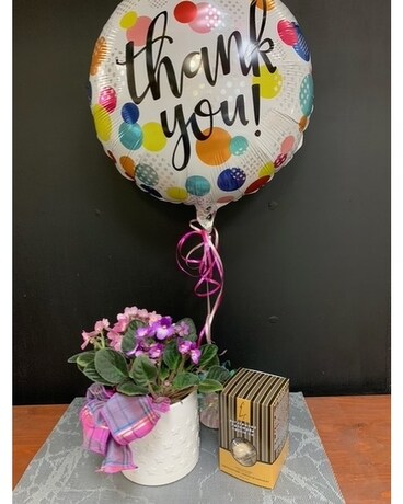 African Violet & Cookies Gift Set Gifts