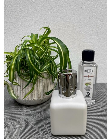 Maison Berger Package Gifts