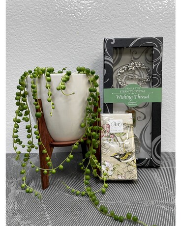 Something for Grandma Gifts