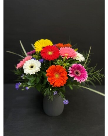 Dozen Gerbera Daisy Arrangement Flower Arrangement
