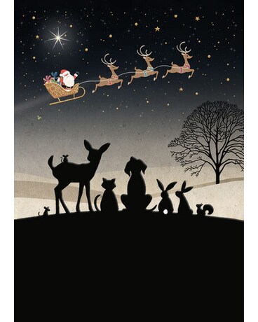 Bug Art Santa Gazing Gifts