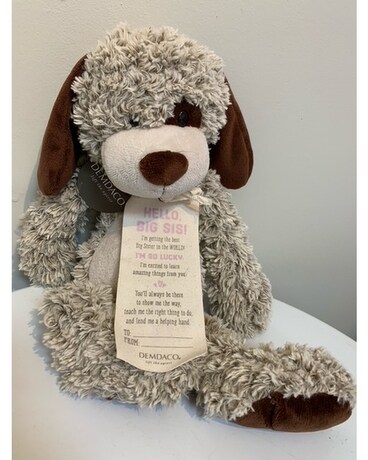 Big Sis Plush Gifts