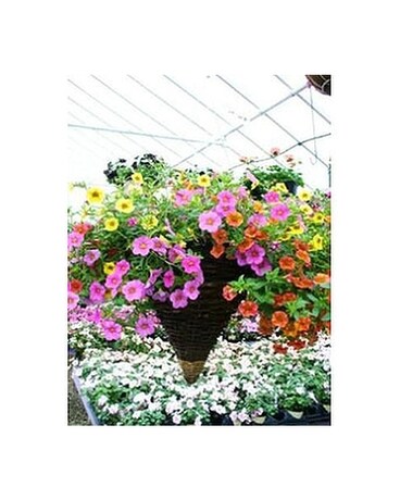 Special Cone Wicker Basket - 613