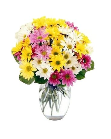 Mixed Daisies Flower Arrangement