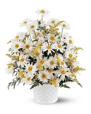 Drop of Sunshine Arrangement Flower Arrangement
