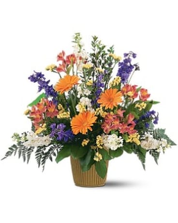 Bright Messages Arrangement Flower Arrangement