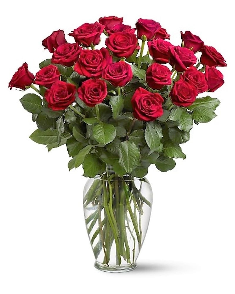 2 Dozen Long Stem Roses in Fond Du Lac WI Haentze Floral Co