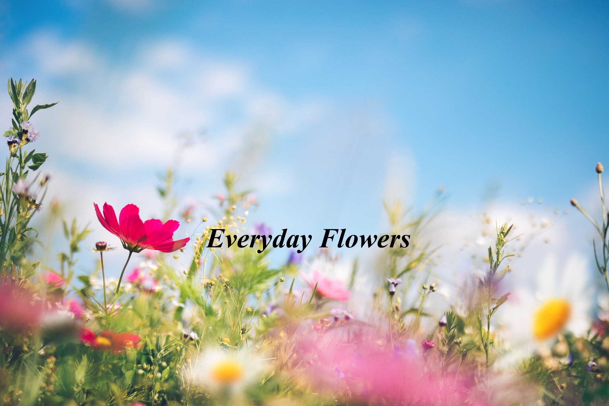 Beautiful Seasonal Flowers Banner