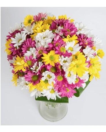 Mixed Colors of Dasies in Vase Flower Arrangement