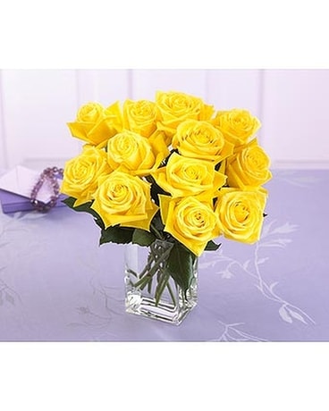 One Dozen Yellow Roses With Vase In Back Bay Ma Fresco Flowers