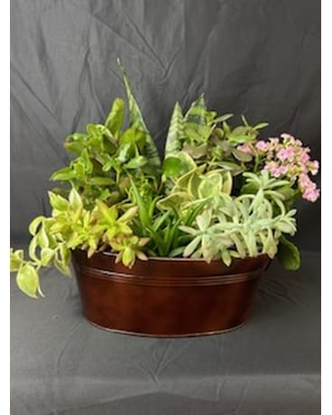 Succulent Garden Basket Custom product