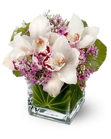 Teleflora's Lovely Orchids Flower Arrangement