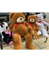 60in Large Bear size,  inches height and  inches wide.
