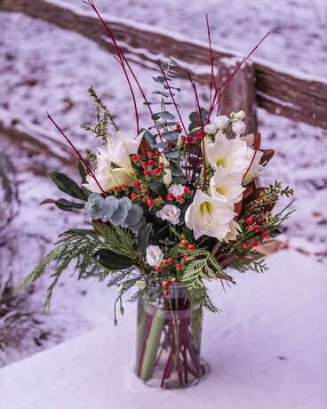Amaryllis Winter Elegance Flower Arrangement