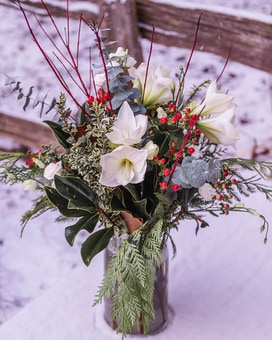 Amaryllis Winter Elegance Flower Arrangement