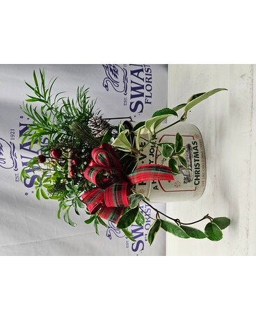 Holly Jolly Christmas Dishgarden Plant