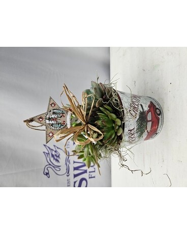 Merry Christmas Succulent Garden Flower Arrangement