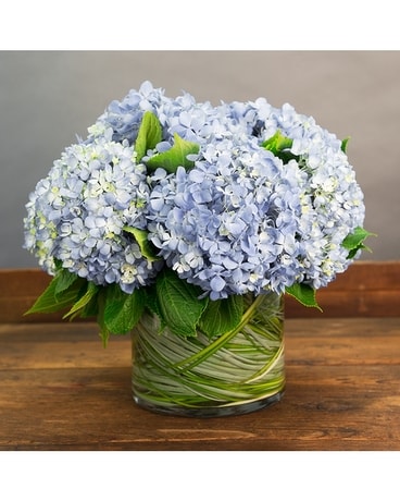 RHAPSODY IN BLUE Flower Arrangement