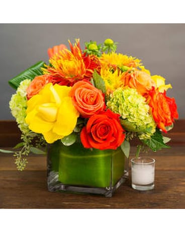 CITRUS BLISS Flower Arrangement