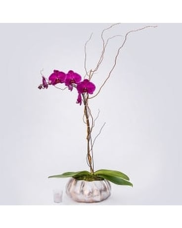 LUSH Flower Arrangement