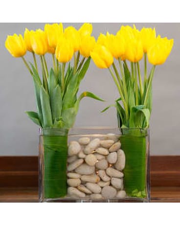 MODERN DUTCH TULIPS Flower Arrangement