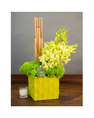 TAHITIAN WALKWAY Flower Arrangement