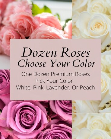 Dozen Roses - Choose Your Color Flower Arrangement