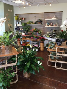 Inside In Bloom - Flower Shop Photos - In Bloom Flowers in ...