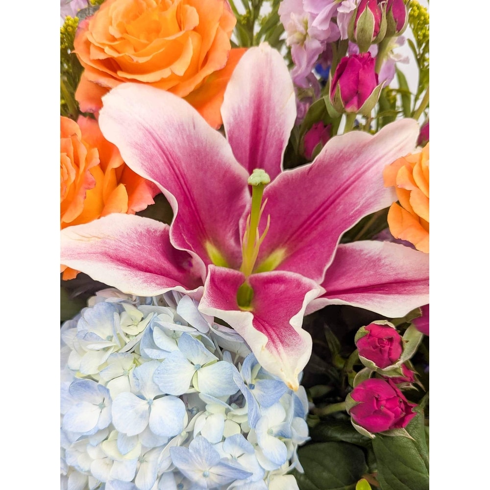 Captivating | In Bloom Flowers