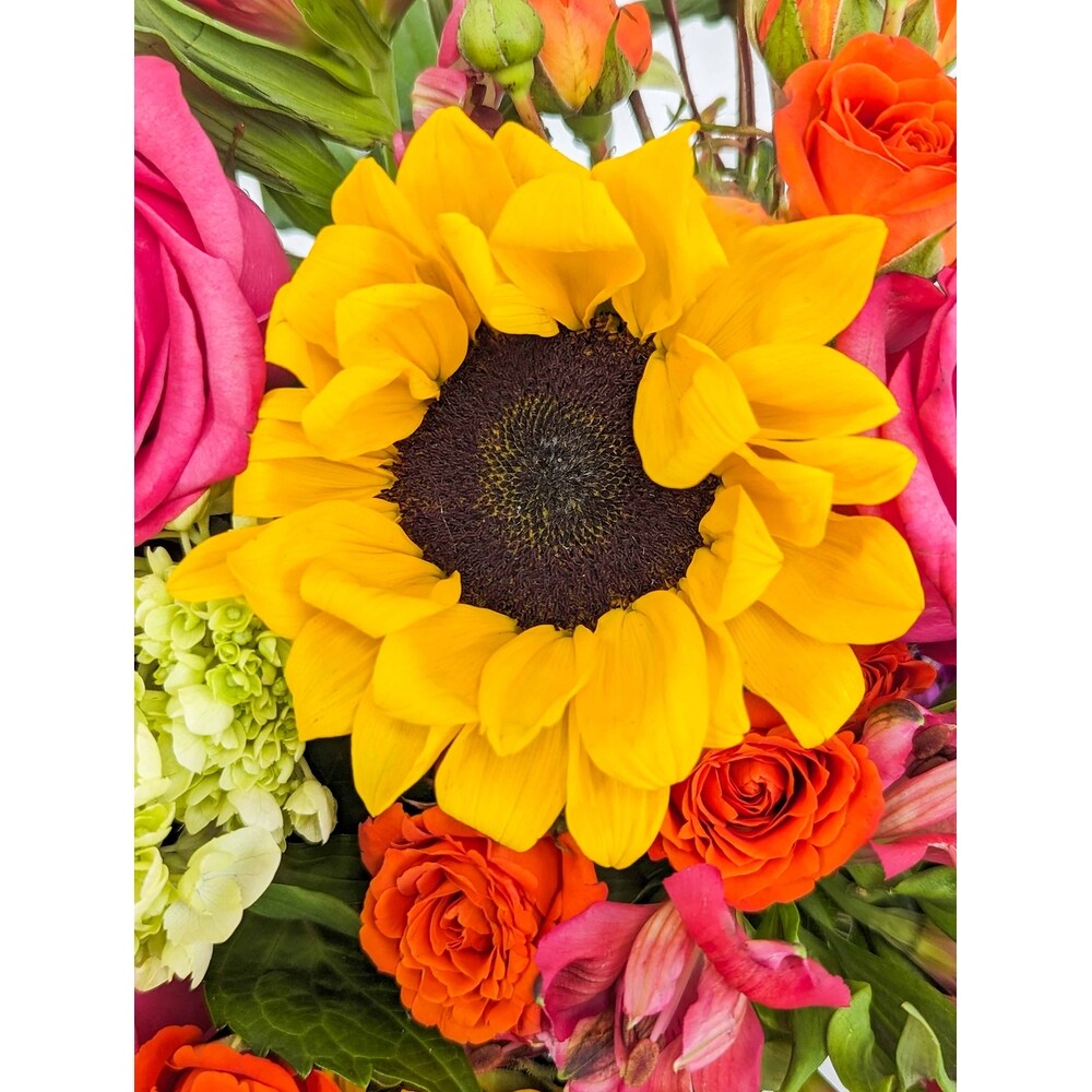 Lola in Arlington, Carrolton & Plano | In Bloom Flowers