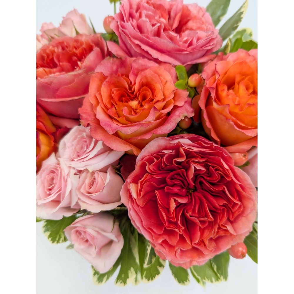 Apricot Lane in Arlington, Carrolton & Plano | In Bloom Flowers