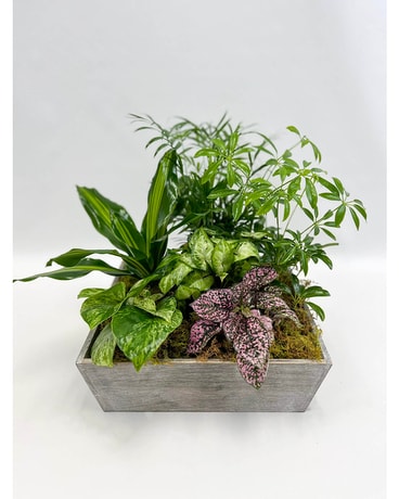 Heartland Planter Plant