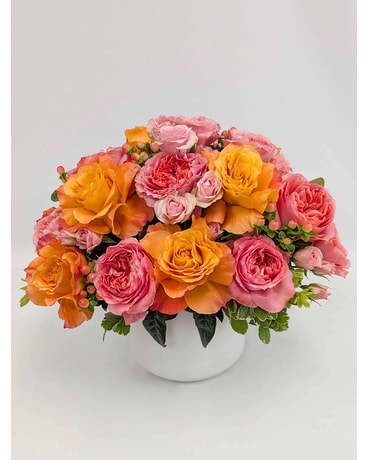 Apricot Lane Premium in Arlington, Carrolton & Plano | In Bloom