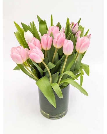 Luxury Tulips in Arlington, Carrolton & Plano | In Bloom Flowers
