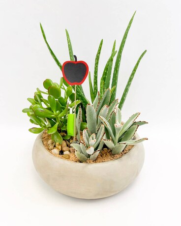 Urban Garden for Teacher Flower Arrangement