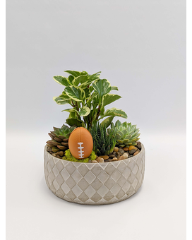 Play Ball Plant