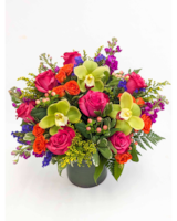 Kaleidoscope in Arlington, Carrolton & Plano | In Bloom Flowers