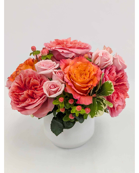 Apricot Lane Deluxe in Arlington, Carrolton & Plano | In Bloom Flowers