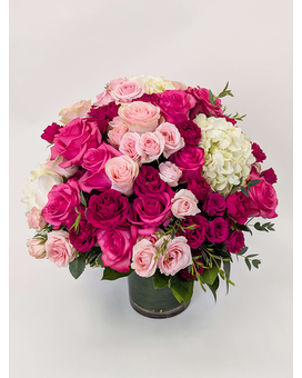 The Lucky One Deluxe in Arlington, Carrolton & Plano | In Bloom