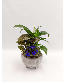 Standard size, 14 inches height and 12 inches wide.