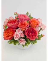 Apricot Lane in Arlington, Carrolton & Plano | In Bloom Flowers