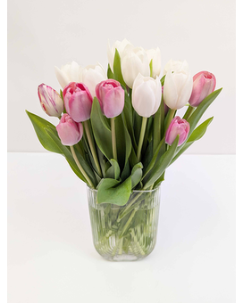 Serenity Deluxe in Arlington, Carrolton & Plano | In Bloom Flowers